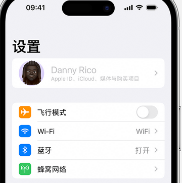 泗阳appleID维修服务iPhone设置中Apple ID显示为灰色无法使用 