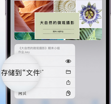 泗阳apple维修中心分享iPhone文件应用中存储和找到下载文件