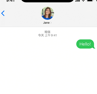 泗阳apple维修iPhone上无法正常发送iMessage信息