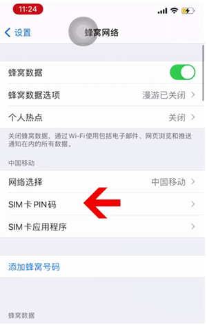 泗阳苹果14维修网分享如何给iPhone14的SIM卡设置密码 