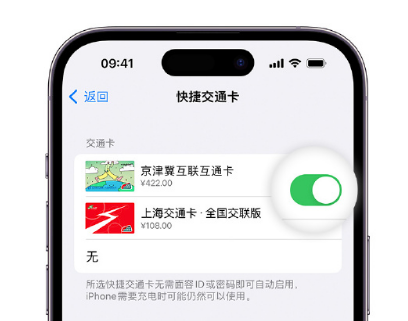 泗阳apple维修点分享iPhone上更换Apple Pay快捷交通卡手绘卡面 