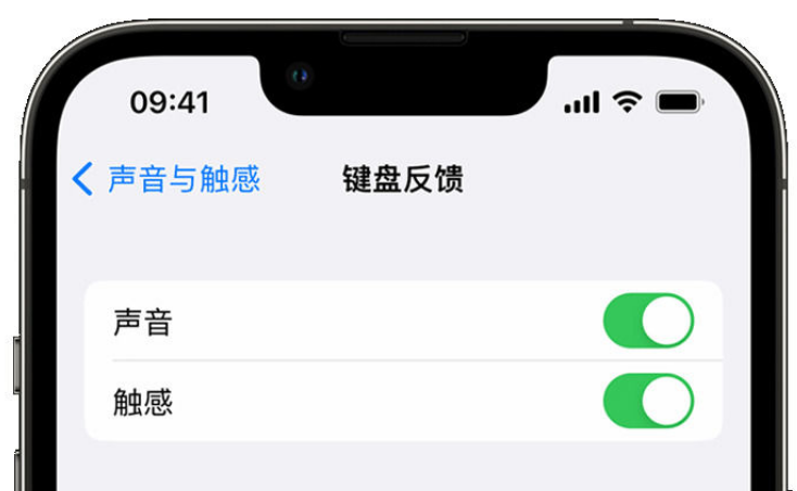 泗阳苹果手机维修分享iPhone 14触感键盘使用方法 