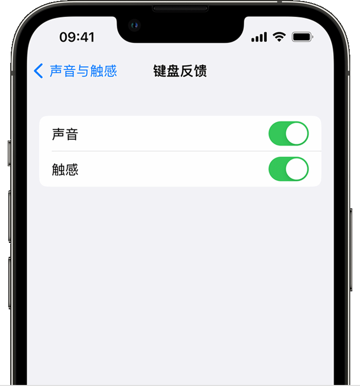 泗阳苹果14维修店分享如何在 iPhone 14 机型中使用触感键盘 