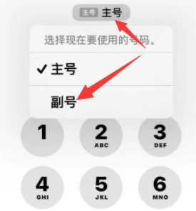 泗阳苹果14维修店分享iPhone 14 Pro Max使用副卡打电话的方法 