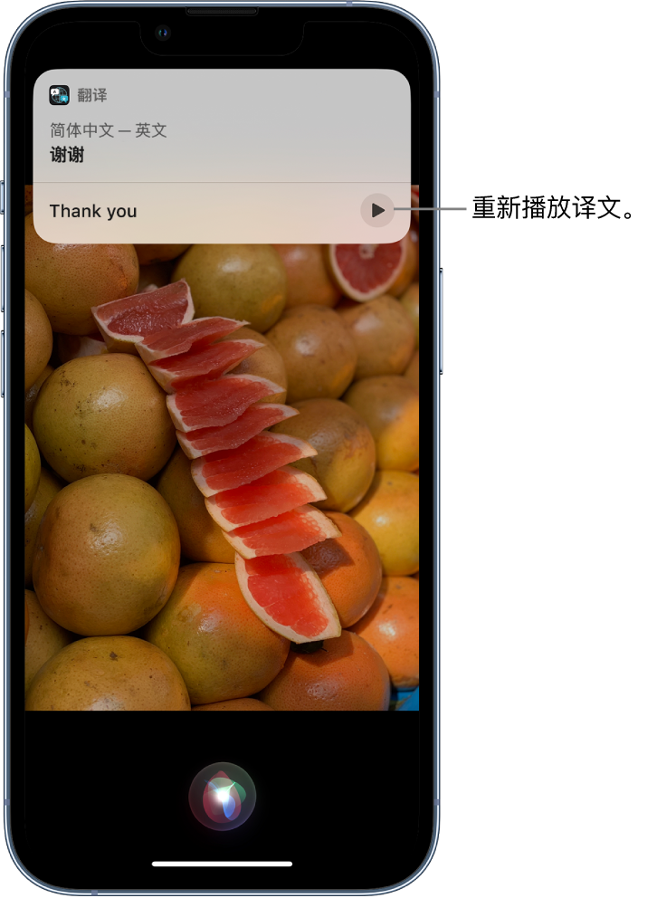 泗阳苹果14维修分享 iPhone 14 机型中使用 Siri：了解 Siri 能帮你做什么 