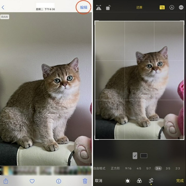 泗阳苹果手机维修分享苹果 iPhone 12 Pro 拍照会过度锐化 