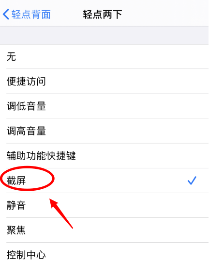 泗阳苹果手机维修分享iPhone12如何启用双击截屏 