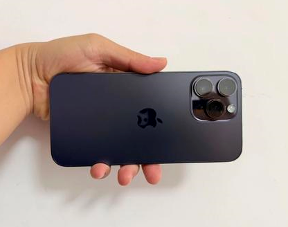 泗阳苹果维修点分享iPhone 14 Pro Max发烫多重诱因剖析 